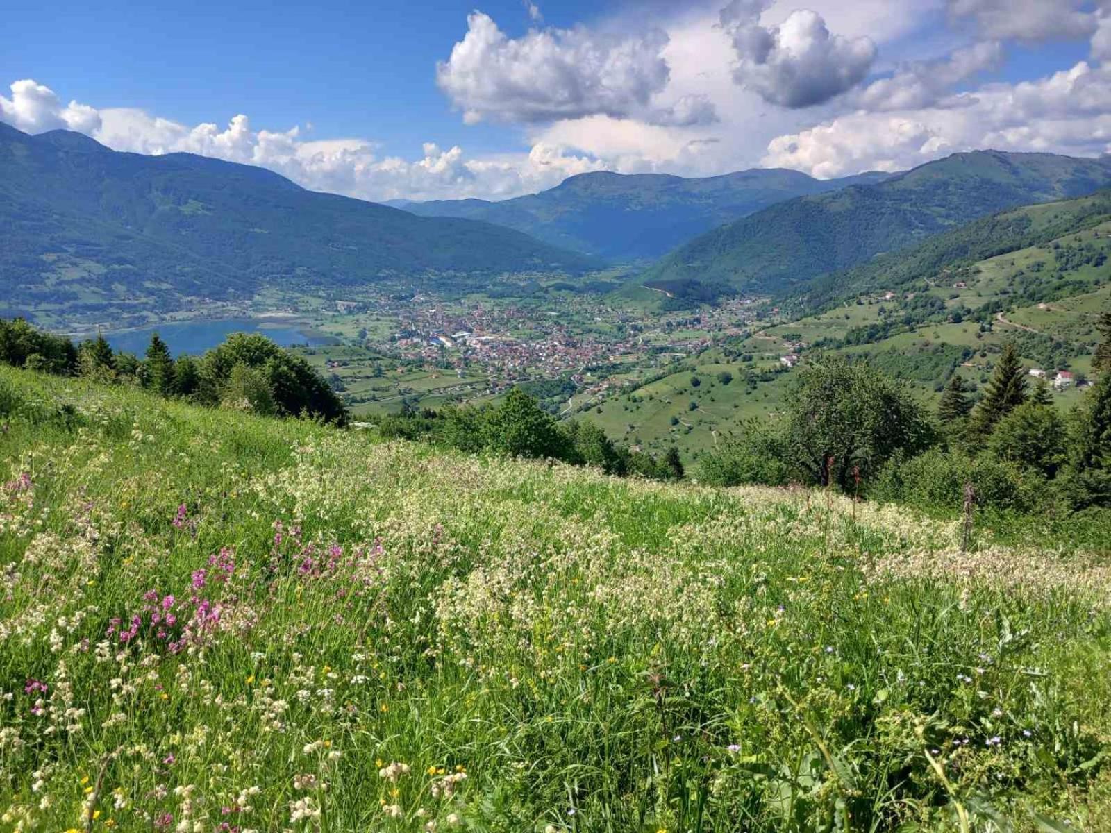 Viewpoint Kofiljaca Bed & Breakfast Plav Exterior photo